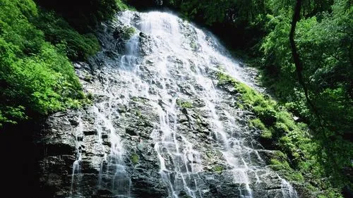 新型高性能稳定性